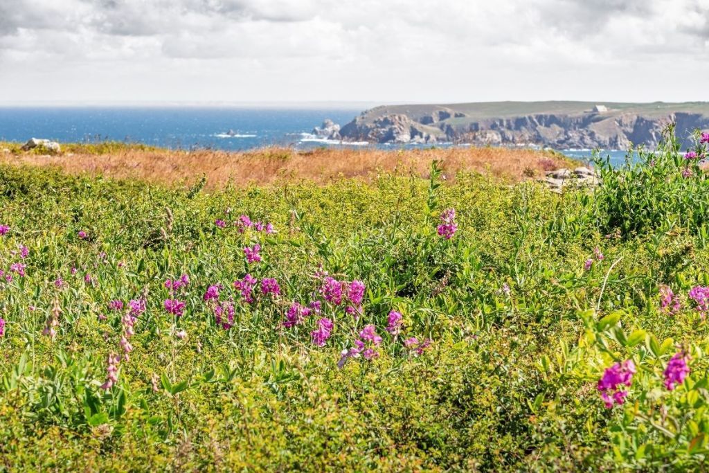 Sorties, restos, activités : comment faire des économies en Bretagne toute l’année ?